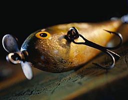 poisson nageur