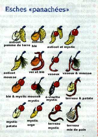 diffrentes sches