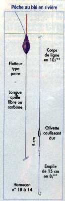 ligne pour le bl