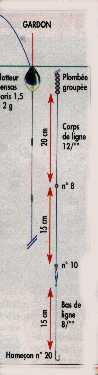 ligne pour le gardon