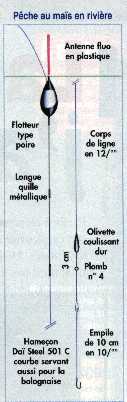 ligne pour le mas