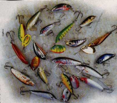 différents poissons nageurs