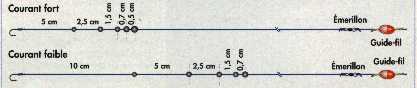 lignes au toc