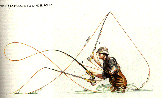 le lancer roulé pour la mouche